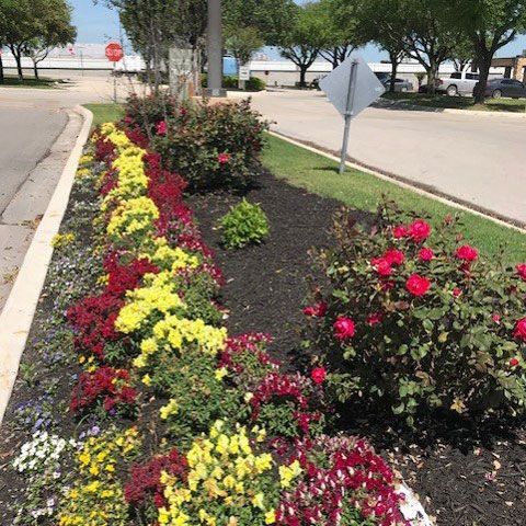 Flowers on the Roadside — San Marcos, TX — Diamondback Landscaping & Lawn Care, Inc.