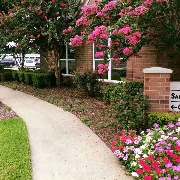 Flowers Near the Walkway — San Marcos, TX — Diamondback Landscaping & Lawn Care, Inc.