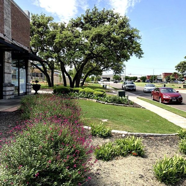 Clean Lawn — San Marcos, TX — Diamondback Landscaping & Lawn Care, Inc.