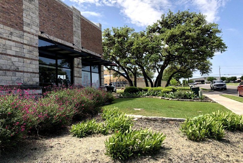 Simple Lawn — San Marcos, TX — Diamondback Landscaping & Lawn Care, Inc.