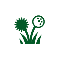 Landscape Design — San Marcos, TX — Diamondback Landscaping & Lawn Care, Inc.