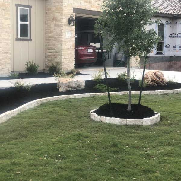 Tree with Mulch — San Marcos, TX — Diamondback Landscaping & Lawn Care, Inc.