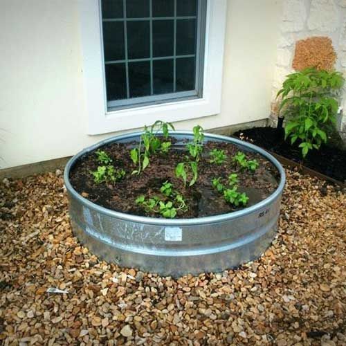 Plants on A Circle Container — San Marcos, TX — Diamondback Landscaping & Lawn Care, Inc.