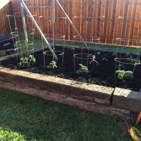 Backyard Plants — San Marcos, TX — Diamondback Landscaping & Lawn Care, Inc.