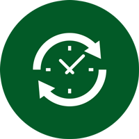 Punctual — San Marcos, TX — Diamondback Landscaping & Lawn Care, Inc.