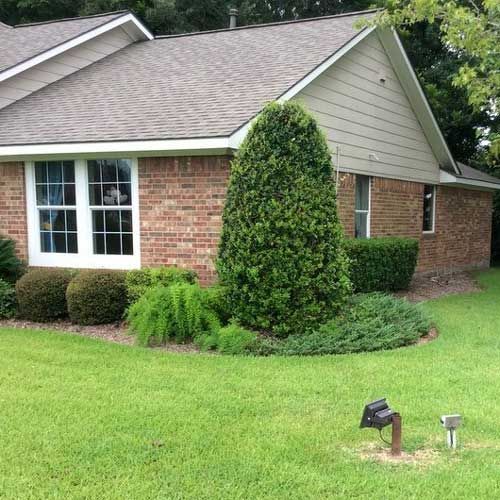 Newly Trimmed Lawn — San Marcos, TX — Diamondback Landscaping & Lawn Care, Inc.