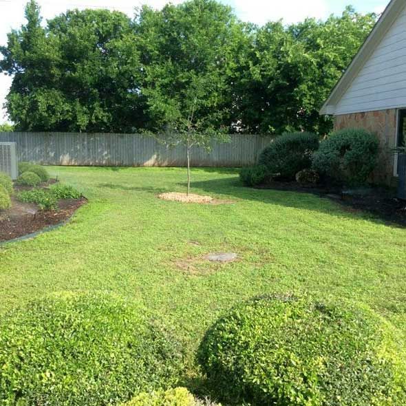 Well-Maintained Lawn — San Marcos, TX — Diamondback Landscaping & Lawn Care, Inc.