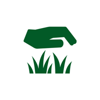 Artificial Turf — San Marcos, TX — Diamondback Landscaping & Lawn Care, Inc.