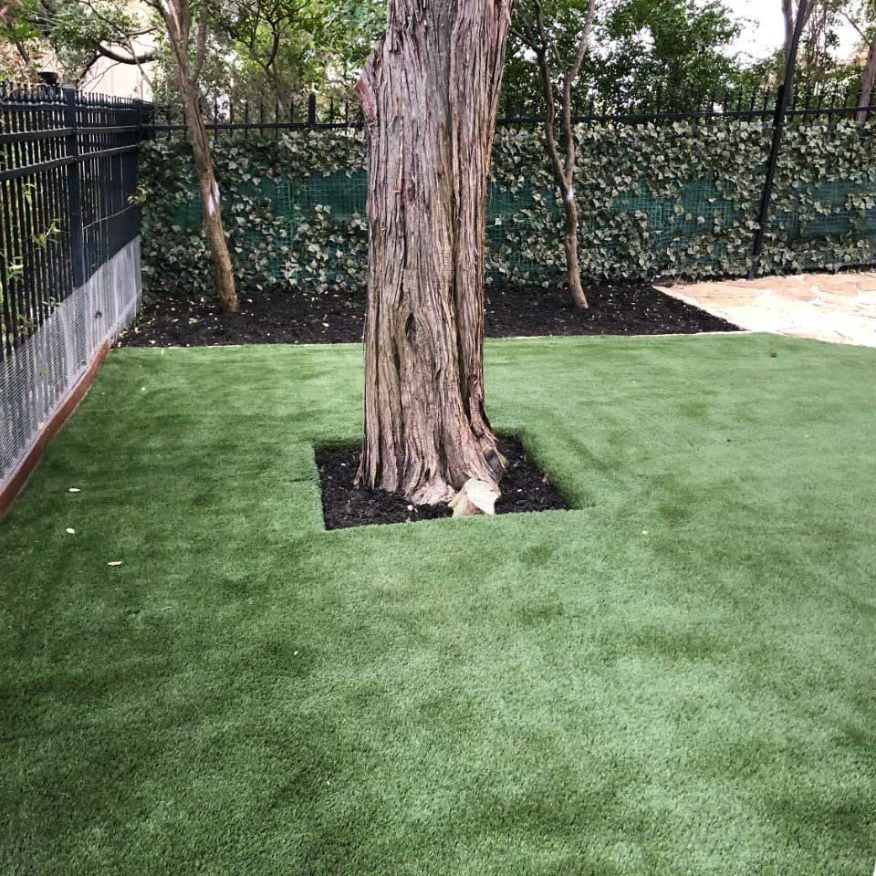 Tree on An Artificial Turf — San Marcos, TX — Diamondback Landscaping & Lawn Care, Inc.