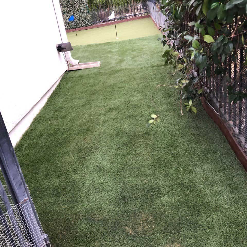Home with Artificial Turf — San Marcos, TX — Diamondback Landscaping & Lawn Care, Inc.