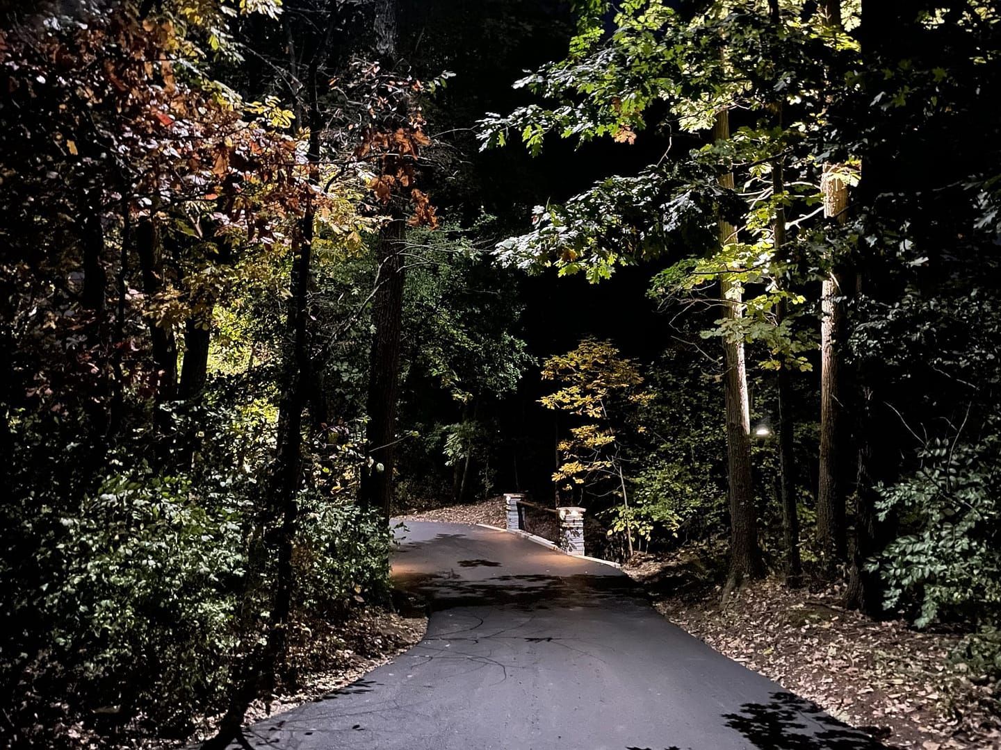 Dark road through trees at night; bridge in distance, fall foliage colors.