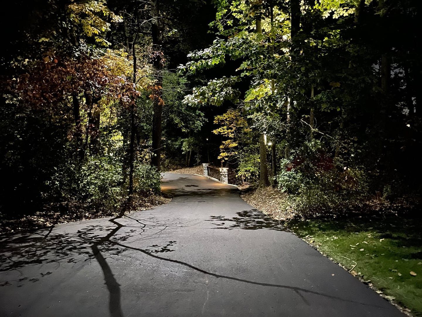 Dark road through trees, illuminated by a light ahead. Fall foliage with shadows.