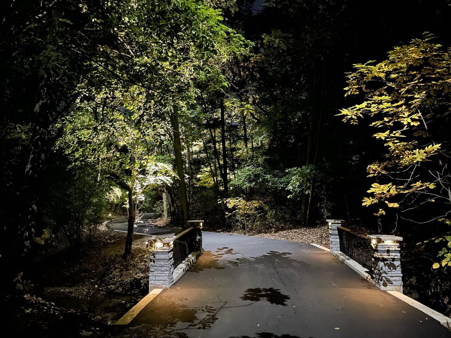 A lit bridge at night. Light shines on trees in the dark, wet pavement.
