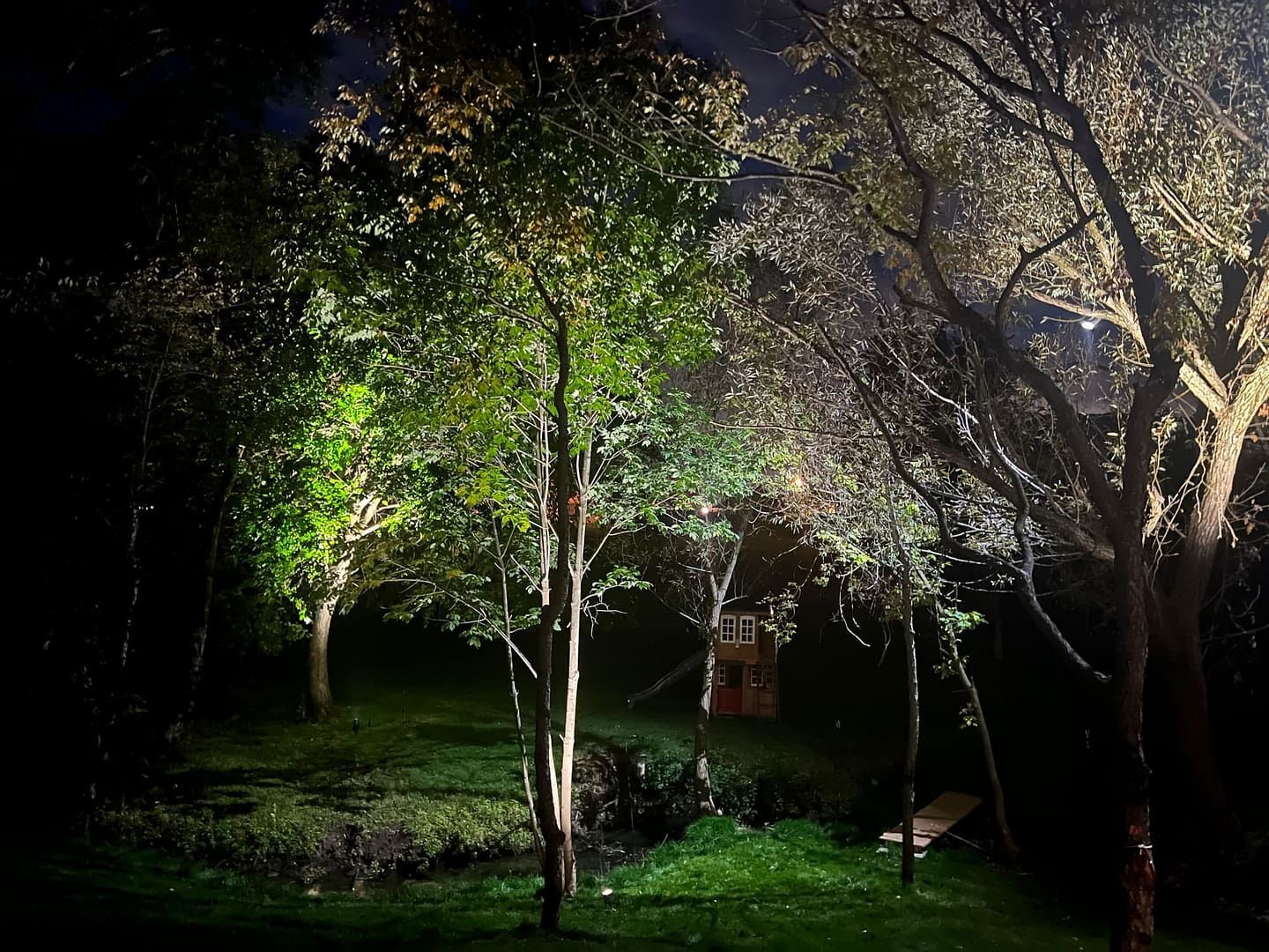 Nighttime scene with trees illuminated in green and white light, casting shadows on the grassy lawn.
