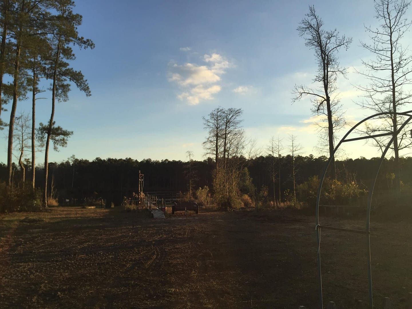 A field with trees in the background under a blue sky with clouds.