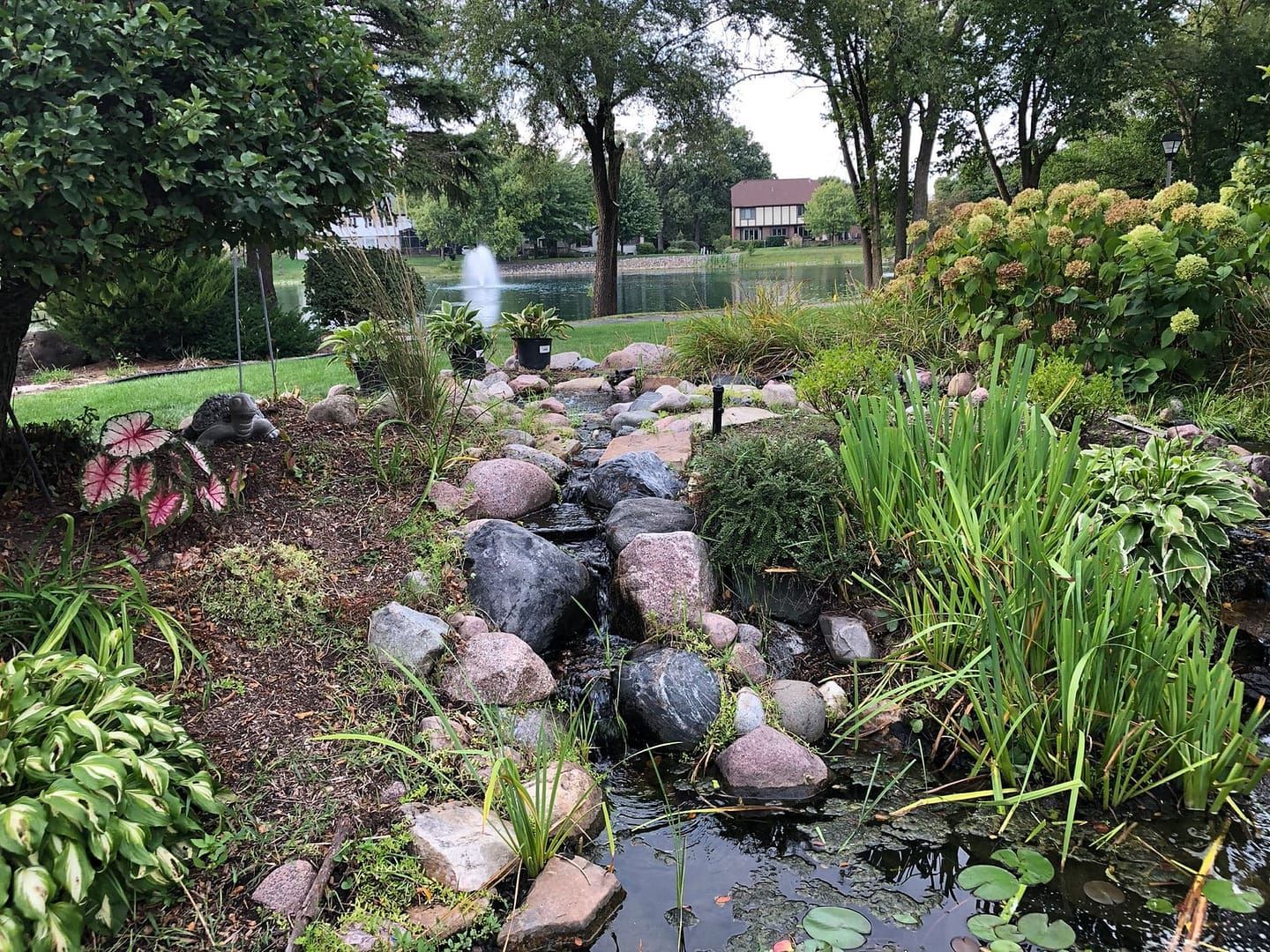A rock-lined water feature flows towards a pond, surrounded by lush plants and a house in the background.