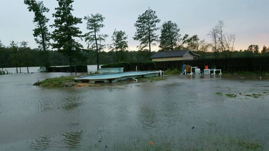 Flooded backyard with submerged patio and surrounding trees, gray water.
