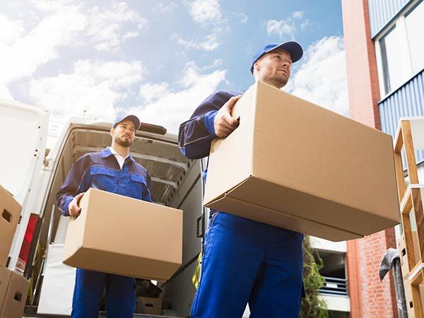 Workers Unloading Cardboard Boxes — Herndon, VA — Eureka Van & Storage Co., Inc.