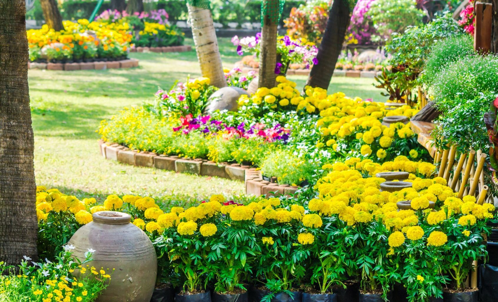 Lush garden with yellow flowers, trees, and a decorative stone urn.