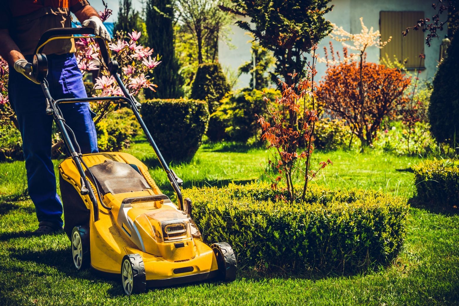 Person mowing a green lawn with a yellow lawnmower, surrounded by bushes and trees.