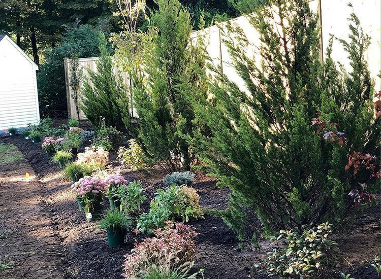 A garden filled with lots of potted plants and trees.