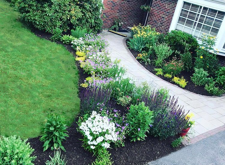 A walkway leading to a house surrounded by flowers and bushes.