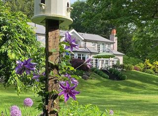 A birdhouse is sitting on top of a tree in front of a house.