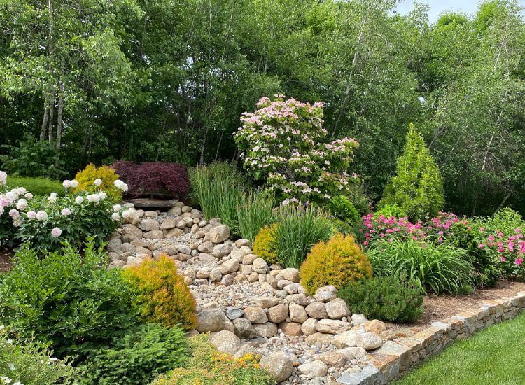 A garden filled with lots of plants and rocks.