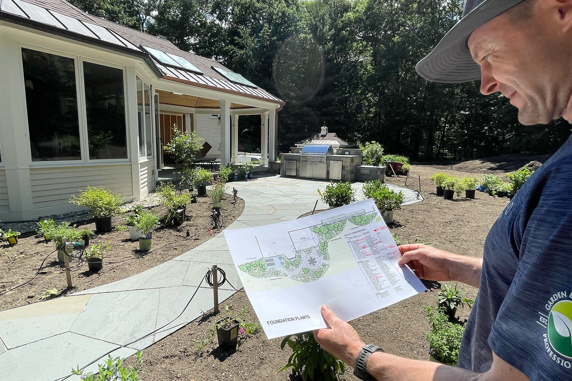 A close up of a plant with a white flower on a white background.