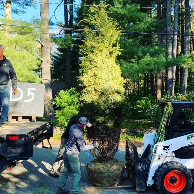 A man is standing in front of a sign that says d5