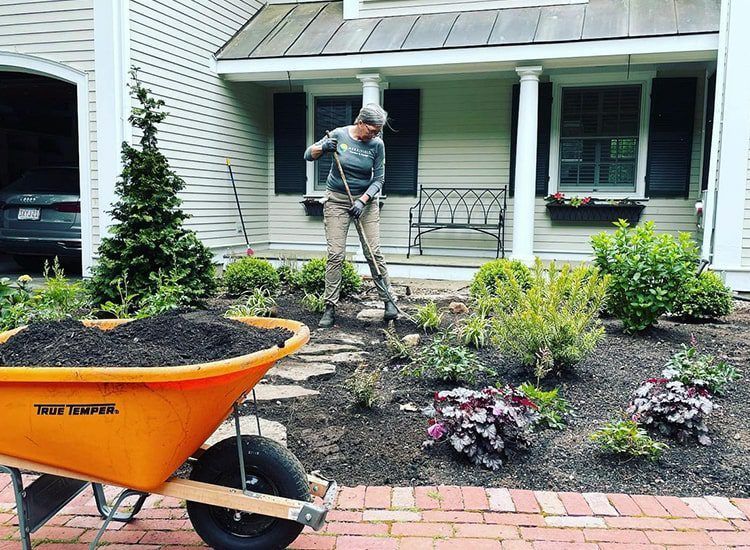 A woman is raking a garden with a wheelbarrow full of dirt.