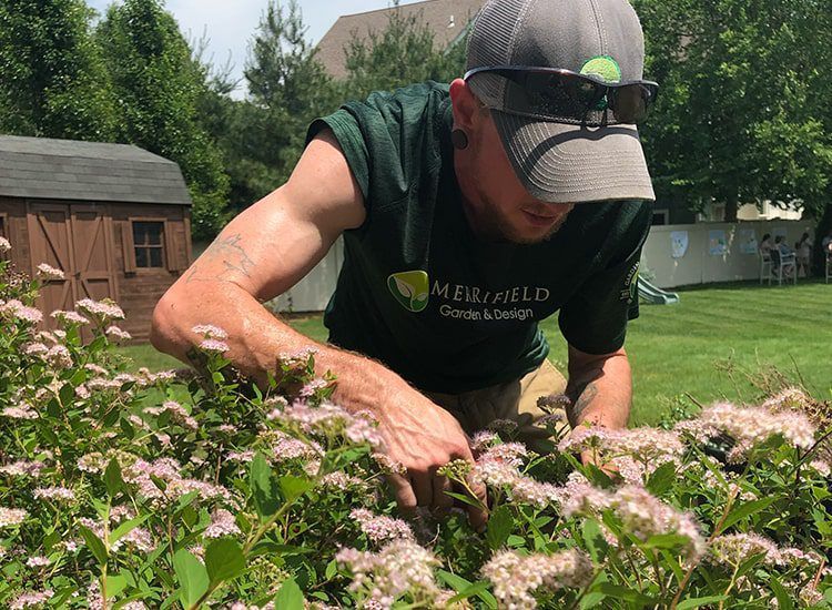 A man wearing a hat and sunglasses is working in a garden.