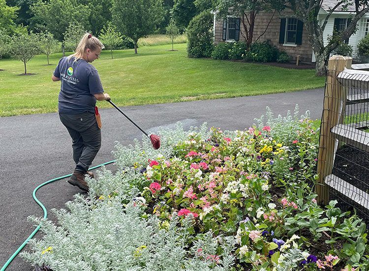 A woman is watering flowers in a garden with a hose.