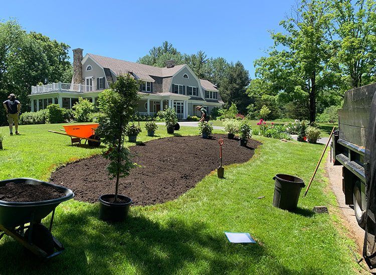 A large house with a lot of potted plants in front of it.