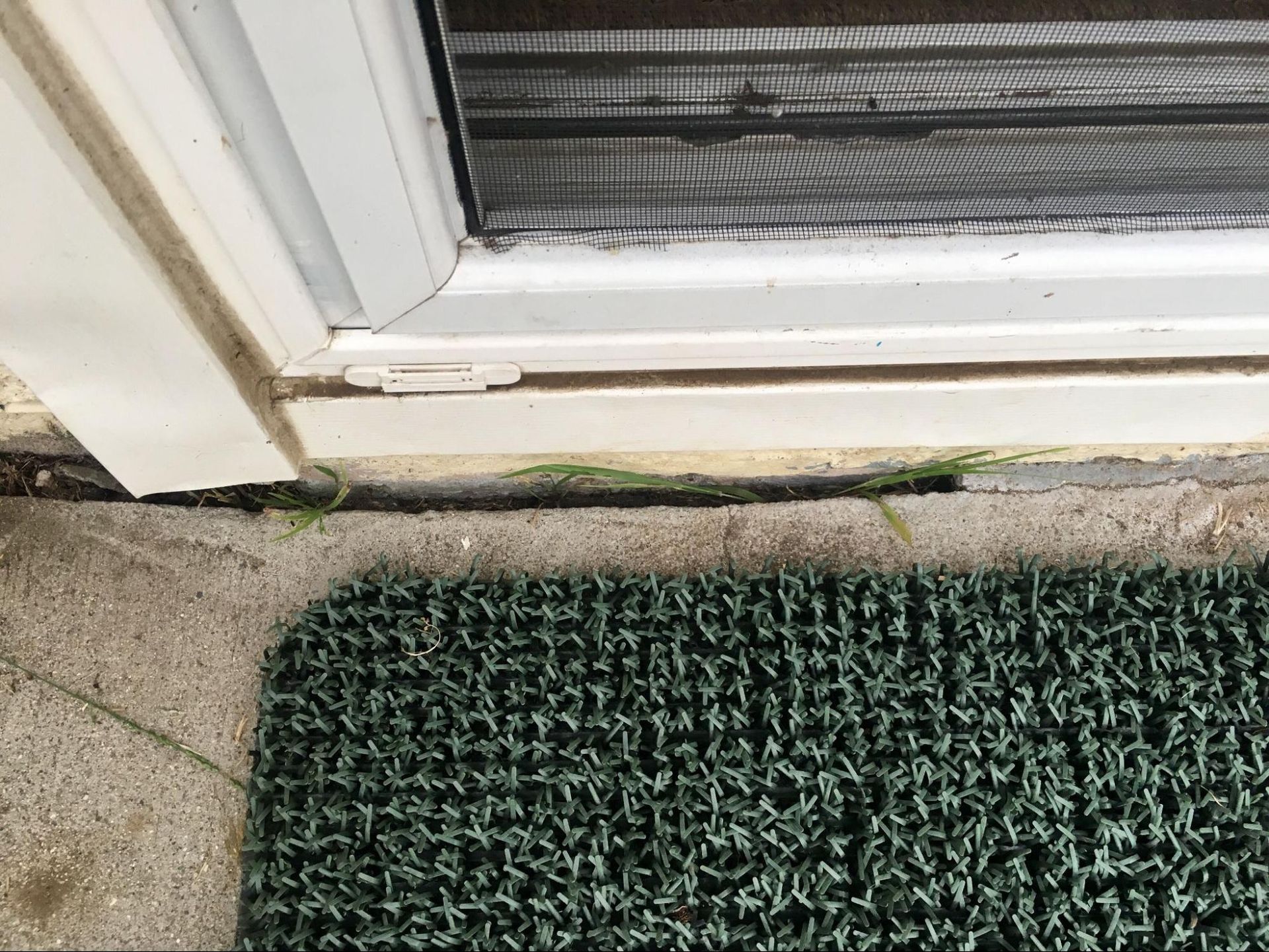 crack in foundation of house