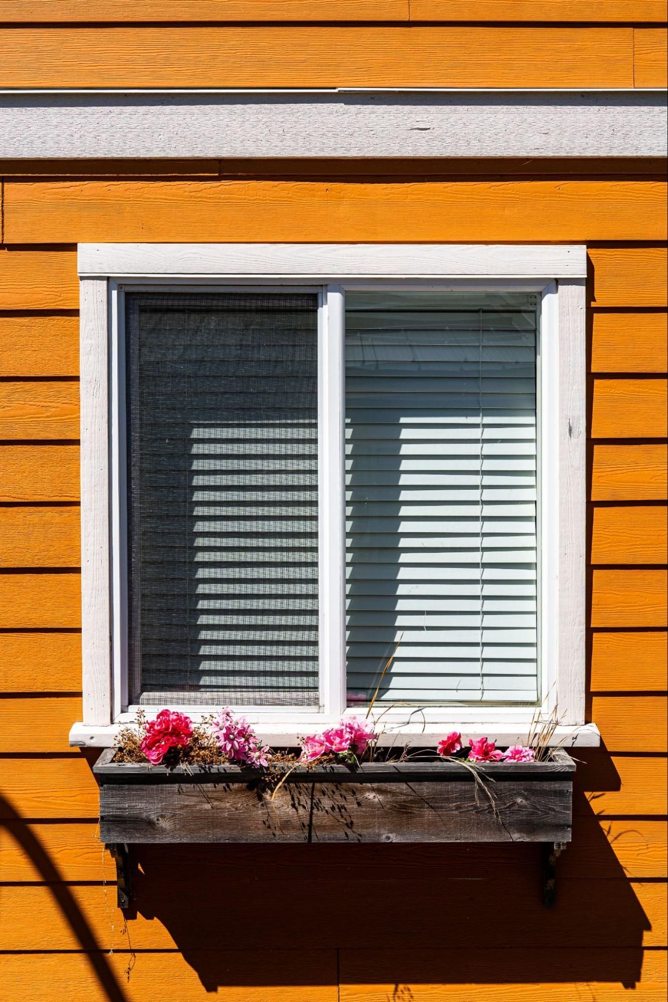 window of house
