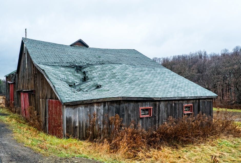 roof damage - Roof damage insurance claim