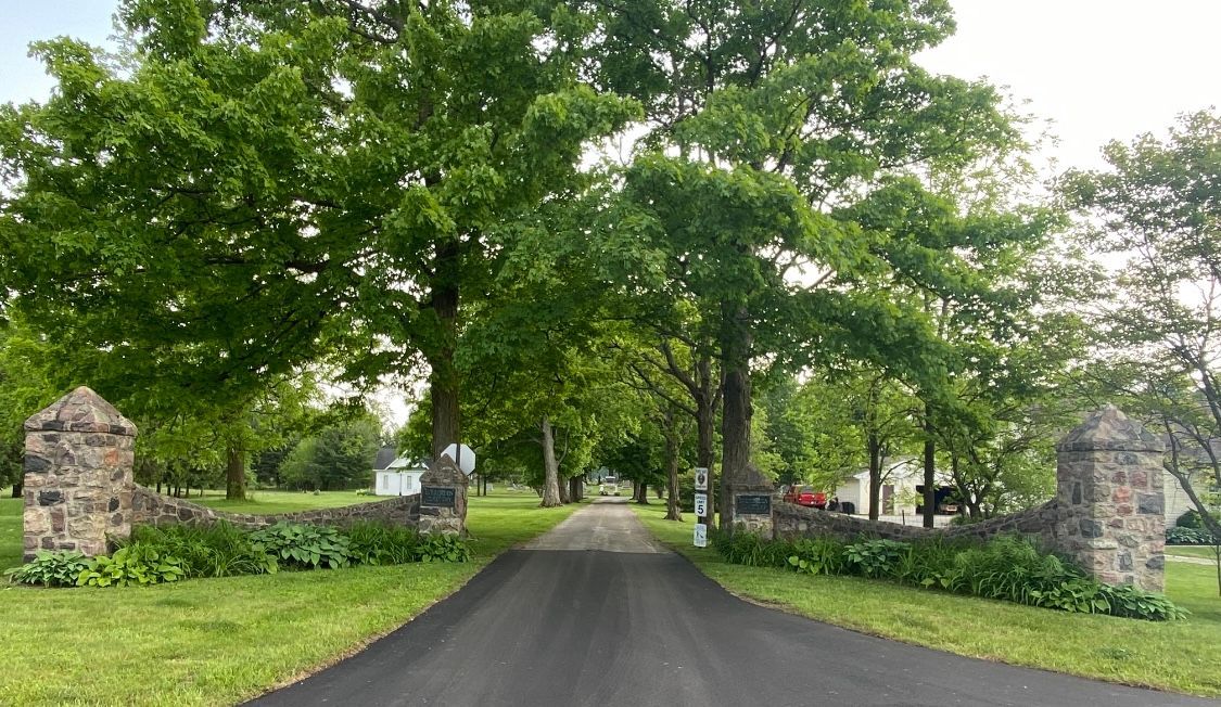Paved road lined with stone pillars and large trees, leading into a green, rural landscape.