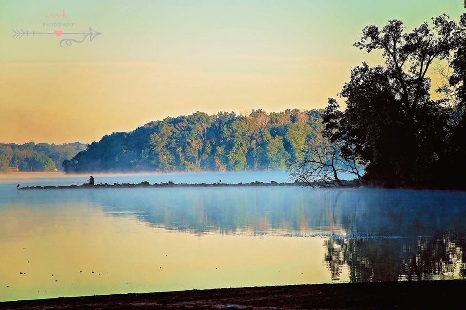 Calm lake at dawn with mist, surrounded by trees reflecting in the water, with a yellow and blue sky.