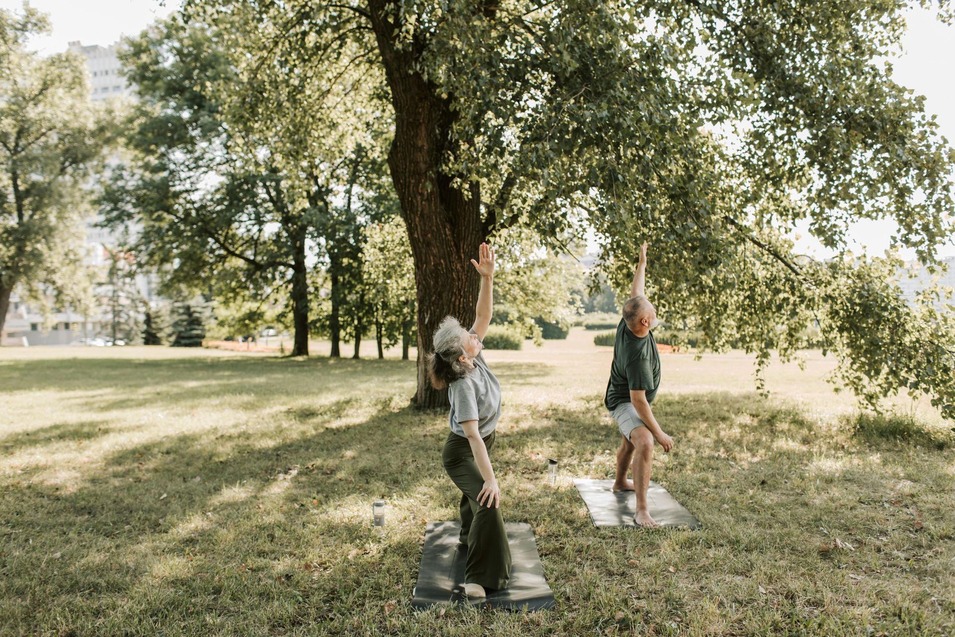 Two people doing yoga stretches outdoors under a large tree.