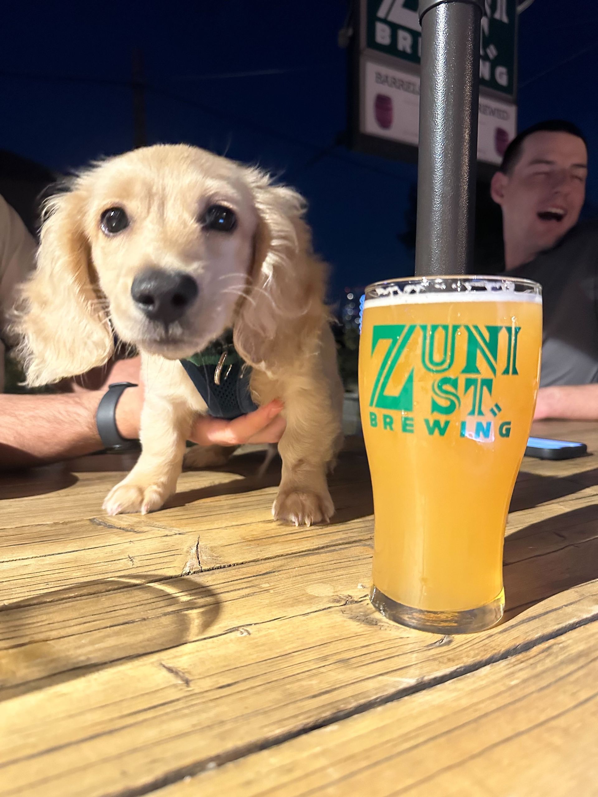 A puppy is standing next to a glass of beer from zuni brewing
