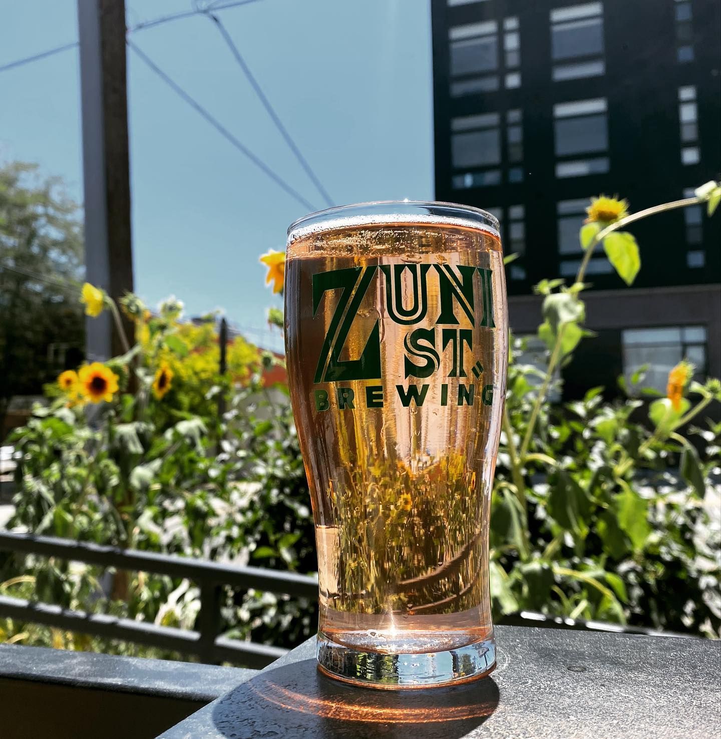 A glass of beer from university street brewing