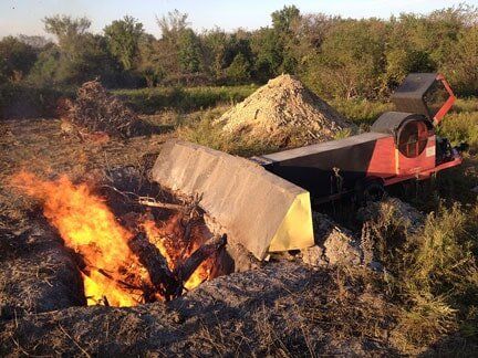 Burning tree stumps and roots