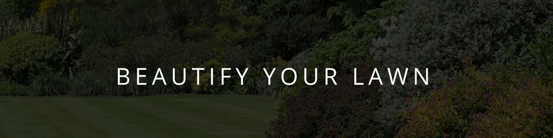 Text on a dark background: “BEAUTIFY YOUR LAWN”