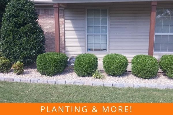 Front yard with trimmed shrubs and a house exterior; orange banner reads “PLANTING & MORE!”