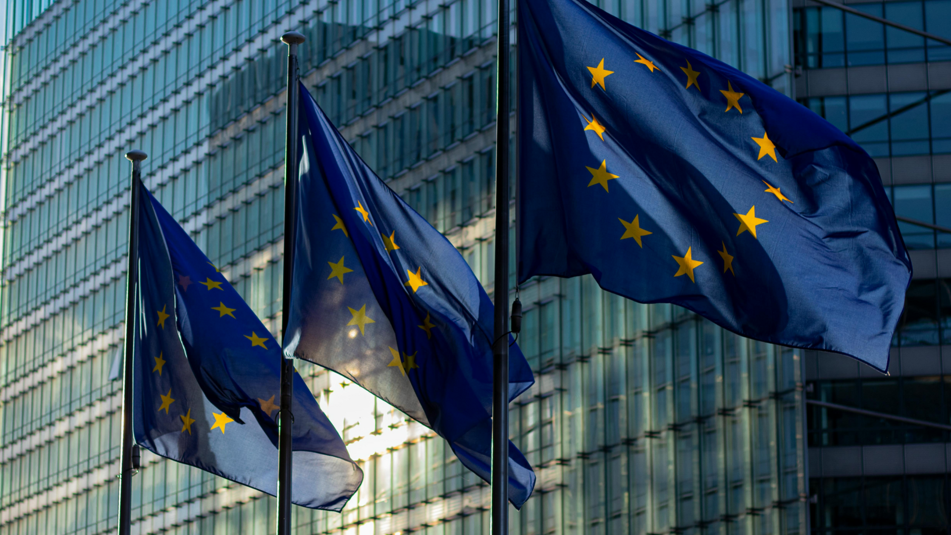 Three European Union flags waving in front of a modern glass building. Blue flags with gold stars.