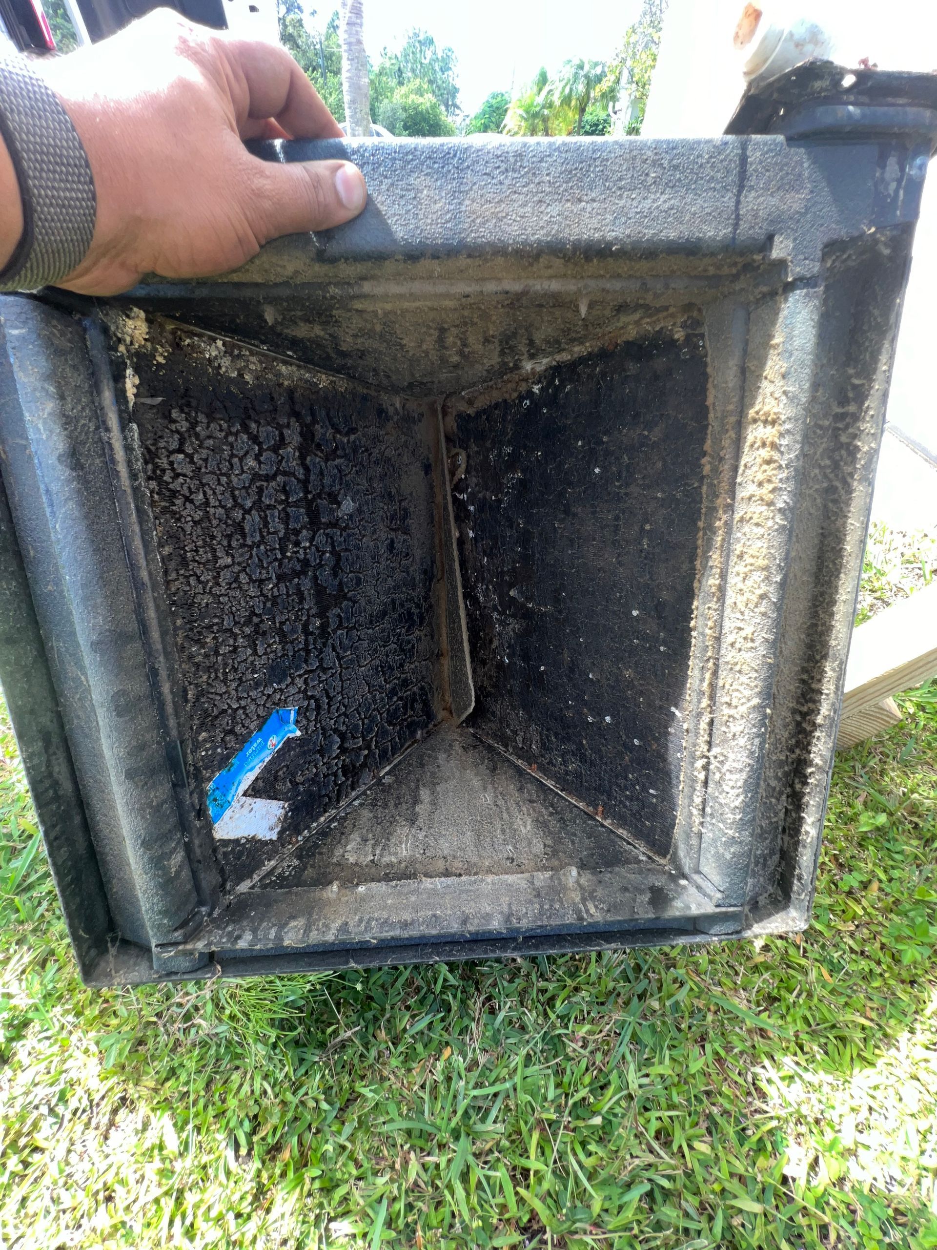 a person is holding a dirty box on top of a lush green field .
