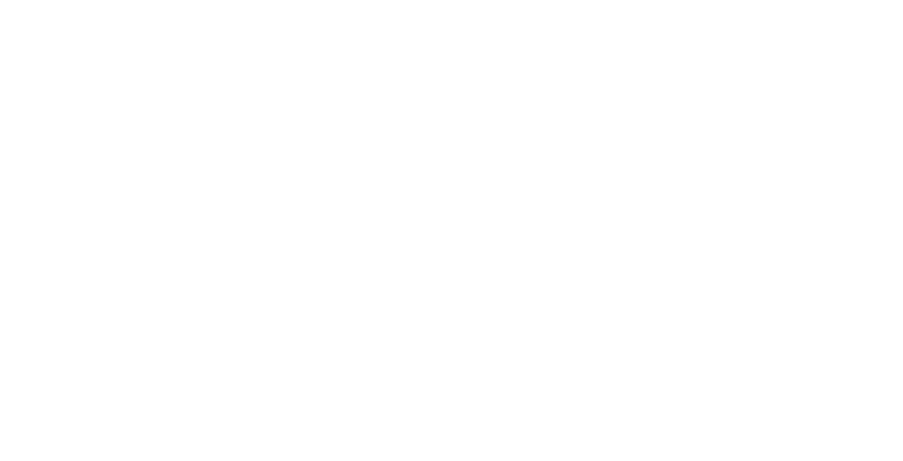 Steve Davies Logo
