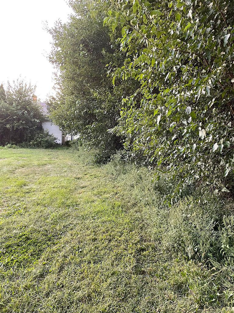 Grassy yard with trees on the right and a white building in the distance.