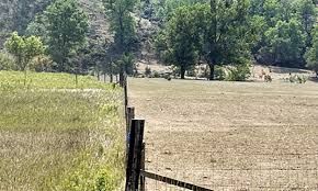 A fence surrounds a field with trees in the background.